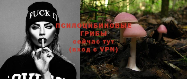 амф Пересвет