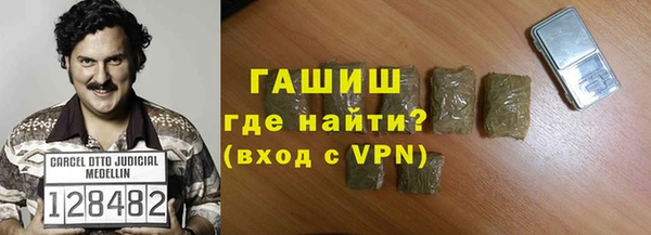 сатива Беломорск