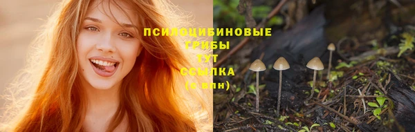 бутират Баксан