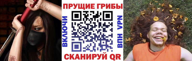 купить закладку  Бородино  Галлюциногенные грибы мухоморы 