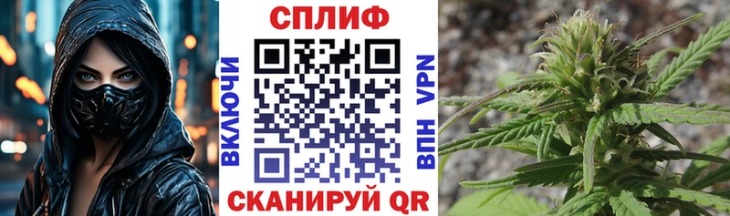 Канабис SATIVA & INDICA  Бородино 